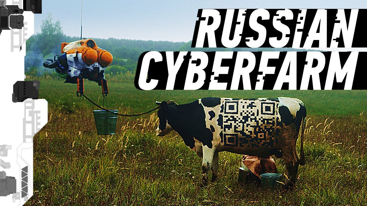 RUSSIAN CYBERPUNK FARM - РУССКАЯ КИБЕРДЕРЕВНЯ | birchpunk YT