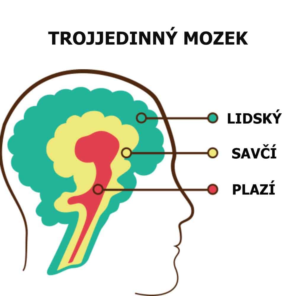 troj mozek